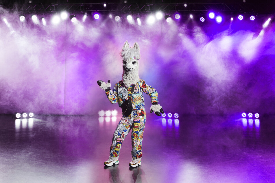 Ein singendes Alpaka? Bei "The Masked Singer" ist alles möglich.