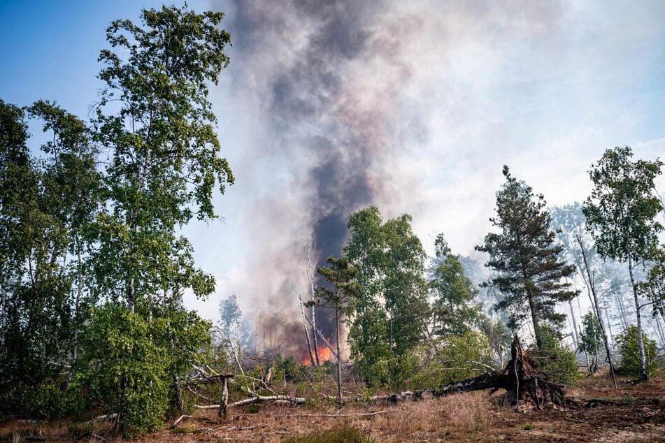 Doch hohe Temperaturen bringen im Sommer auch Waldbrände mit sich, wie im Juni bei Jüterbog. Aufgrund der Hitze war die Waldbrandgefahr in Deutschland auch 2023 hoch.
