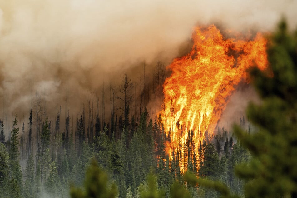 Waldbrände in Kanada: Schon 100.000 Quadratkilometer Wald verbrannt!