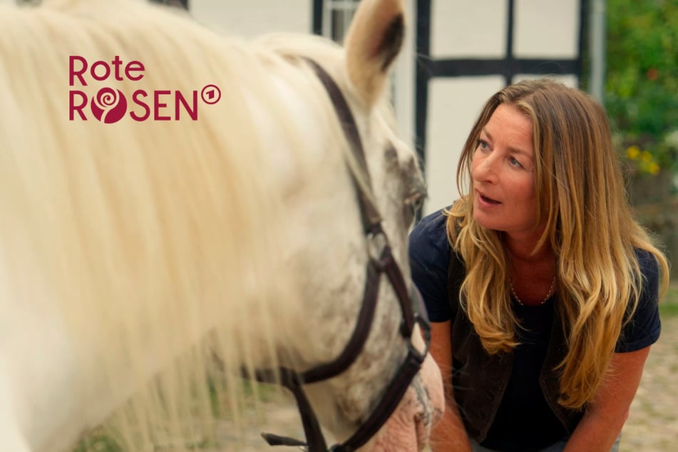 Rote Rosen: "Rote Rosen": Carla findet ein fremdes Pferd auf ihrem Hof - das steckt dahinter