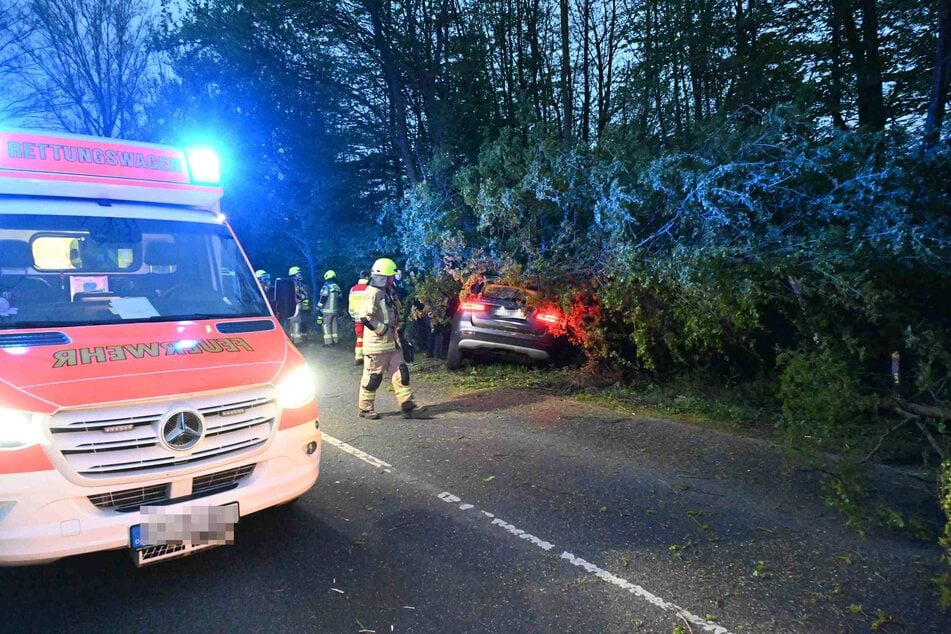 Auf der Bonnstraße (K9) bei Pulheim prallte am Freitagabend (5. April) ein Autofahrer mit seinem Fahrzeug gegen mehrere Bäume.
