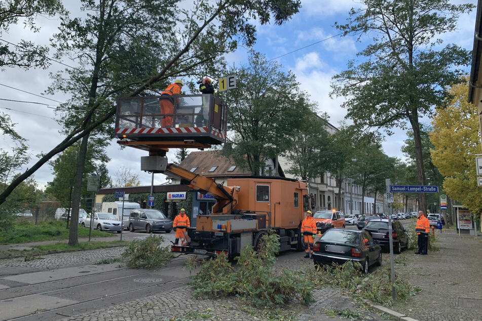 Einsatzkräfte der Feuerwehr befreiten die Fahrbahn in der Kieler Straße von umgestürzten Bäumen.