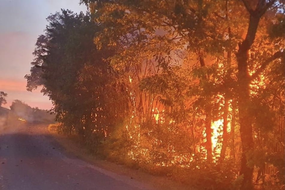 Die Feuerwehr musste auch die Ausbreitung des Feuers auf die umliegende Vegetation verhindern.