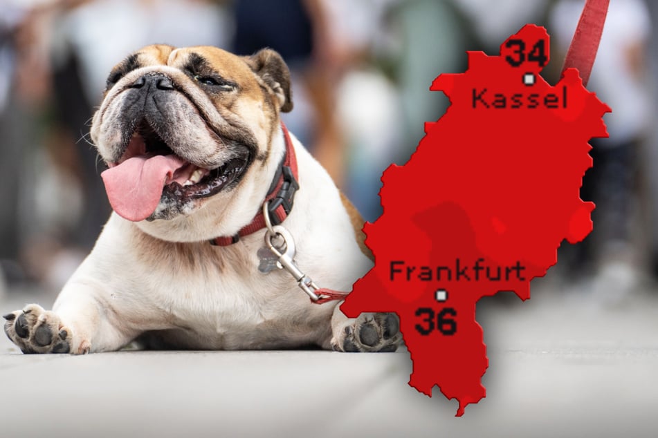 34 Grad am Sonntag, dann wird es sogar noch heißer! So wird das Wetter in Hessen