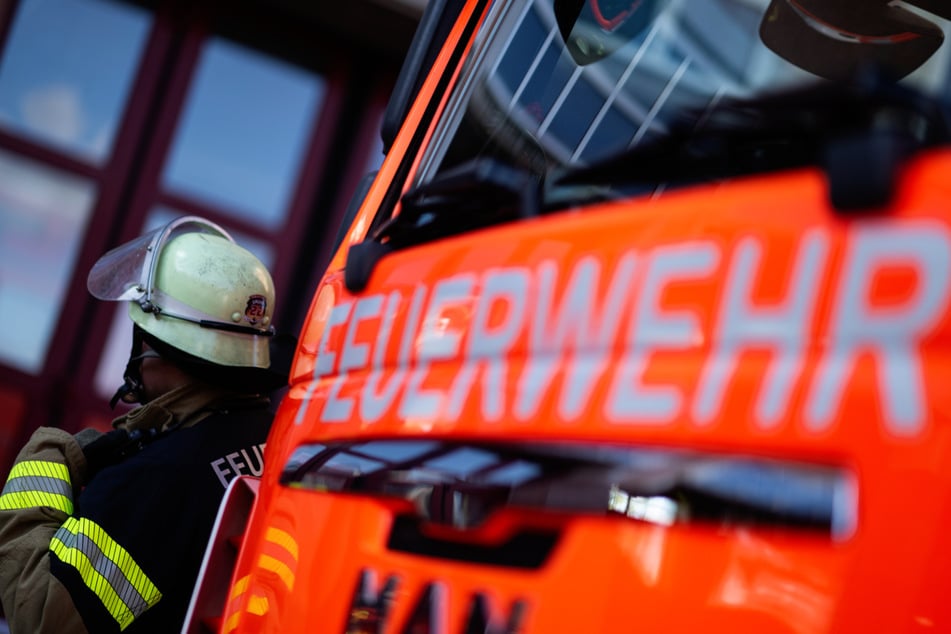 Die Feuerwehr musste einen Tiertransport organisieren, um die beiden Schmusetiger ins Tierheim Köln-Dellbrück bringen zu dürfen. (Symbolbild)