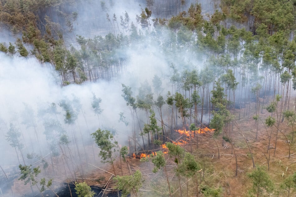 Im Sommer 2025 suchte ein verheerender Waldbrand die Gohrischheide im Landkreis Meißen heim. Trockenheit kann Waldbrände massiv begünstigen.