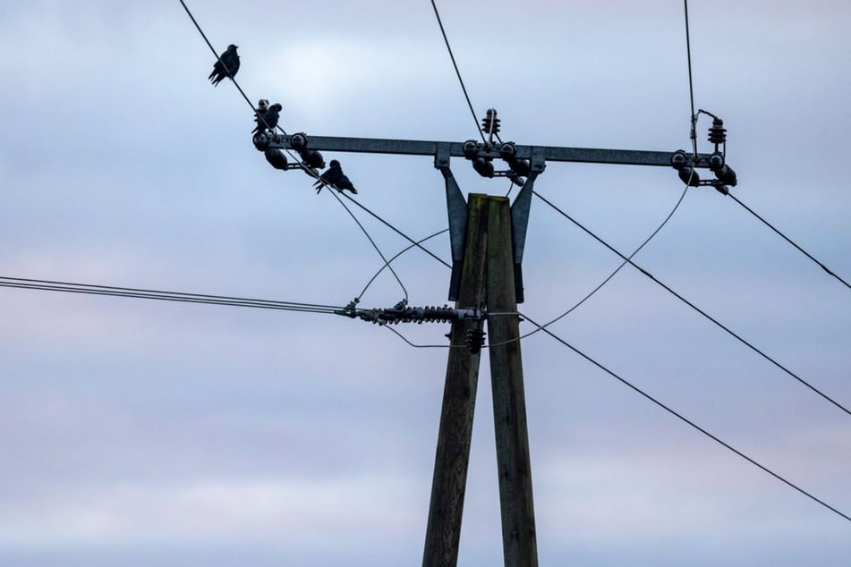 Mehrere Stromausfälle im Südwesten: Das sind die Gründe