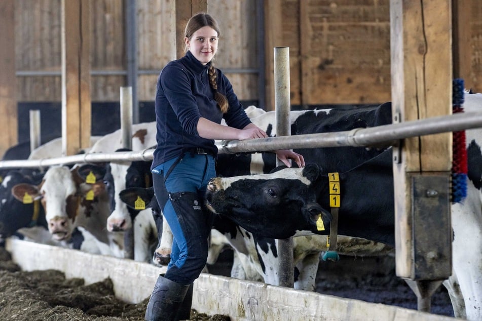 Emely Dittrich hat auf dem Milchhof in Struppen ihren Traumberuf gefunden.