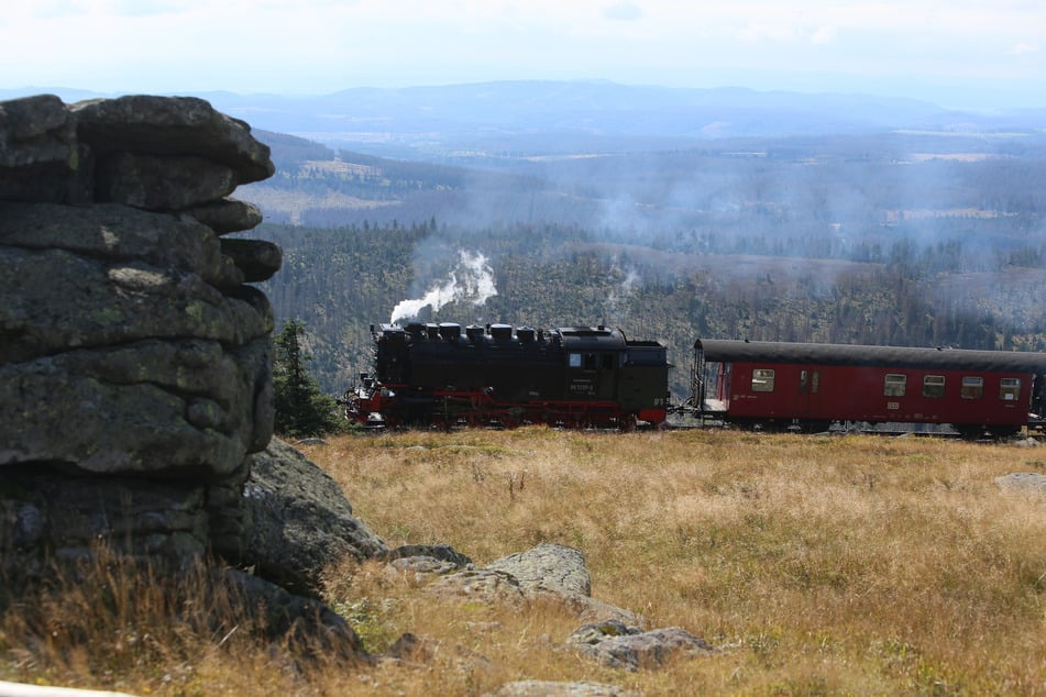 Die Harzer Schmalspurbahnen müssen mit hohen Kosten haushalten. (Archivbild)