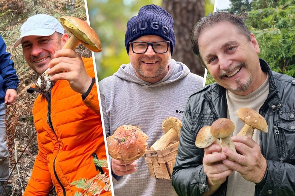 Dresden: Das geht auf keine Kappe: Dresdner Promis füllen sich die Pilz-Körbchen!