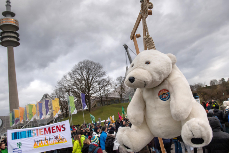 Internationaler Klimastreik: Das plant Fridays for Future in Bayern