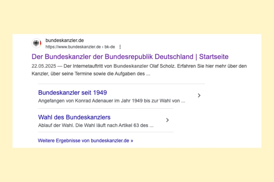 Der alte Regierungschef wird fälschlicherweise auch im Google-Teaser von "bundeskanzler.de" angezeigt.