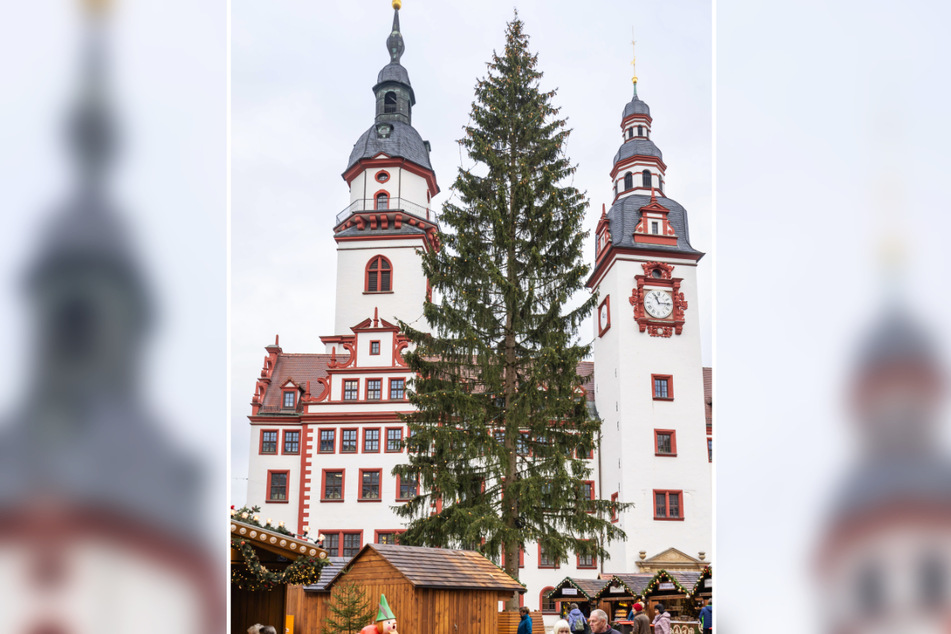 Auf jeden Fall ist die Chemnitzer Fichte höher als der Weihnachtsbaum in Leipzig.