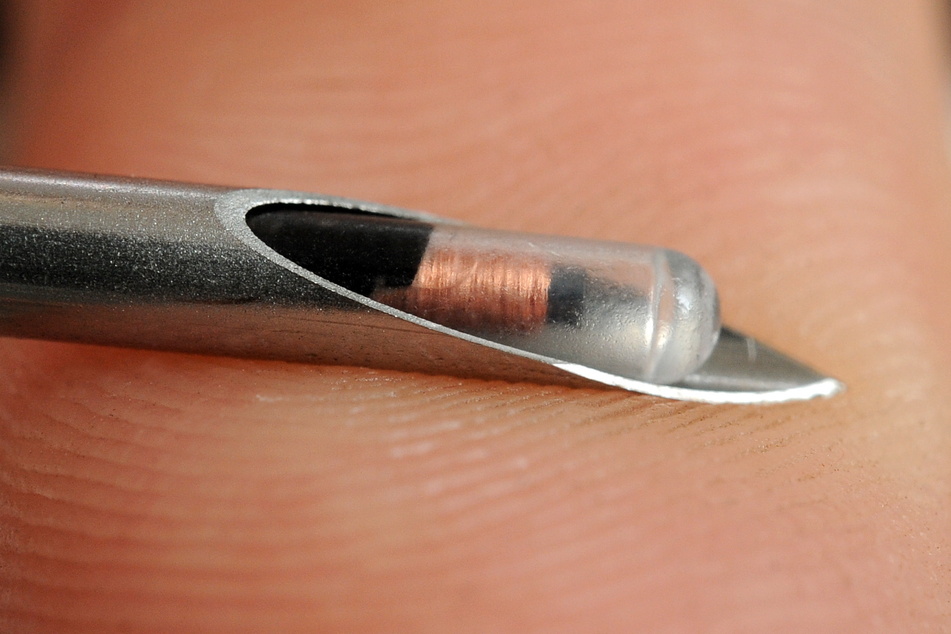 Tiere mit implantiertem Chip können wesentlich einfacher Herrchen und Frauchen zugeordnet werden.