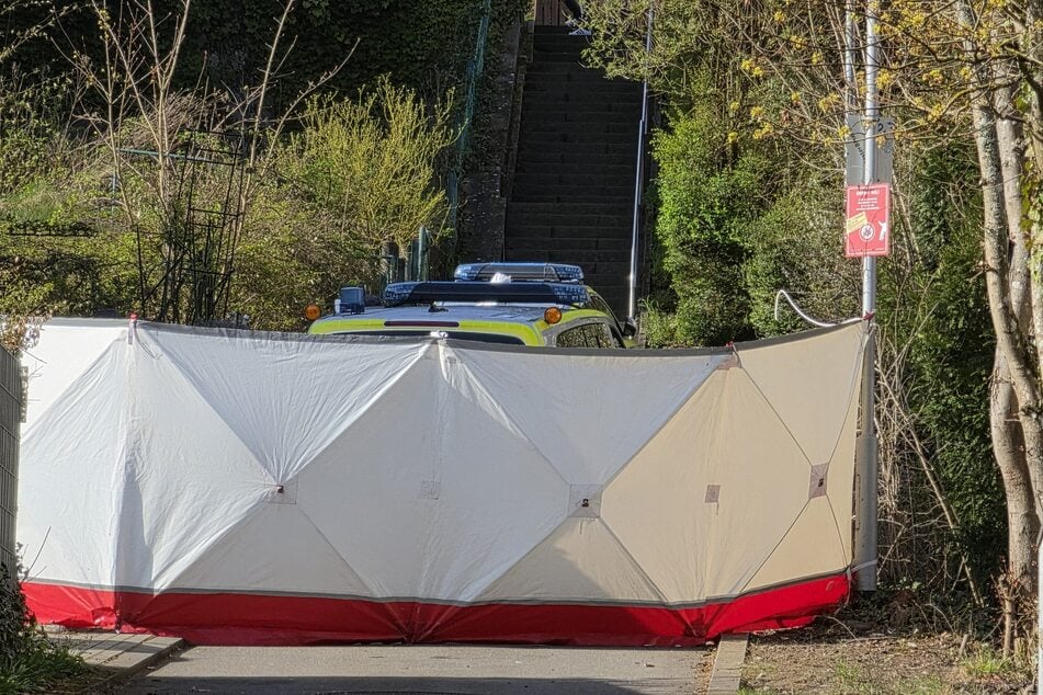 Inzwischen wurden Details zu dem Unglück bekannt.