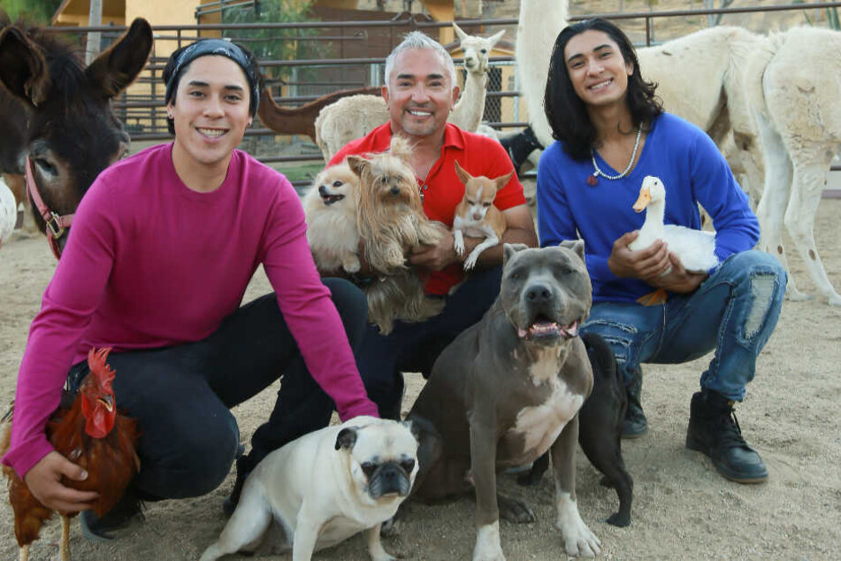 "It's All About Family": Cesar Millan (Mitte) geht ab Oktober wieder auf Tour im deutschsprachigen Raum.
