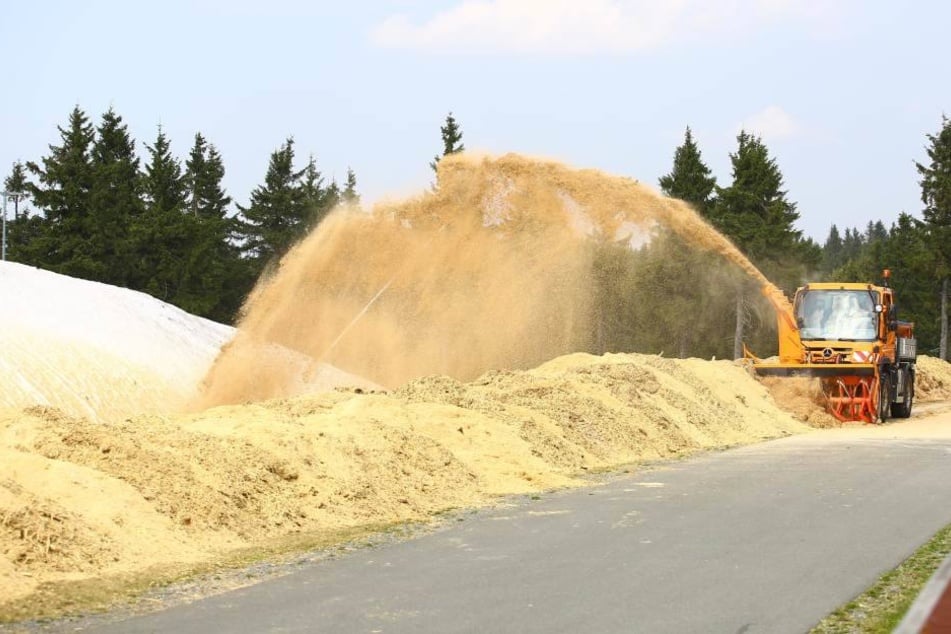 Mit einer Schneefräse wurden 320 Kubikmeter Sägespäne zur Isolierung auf die Schnee-Reserve der Skiarena geblasen.
