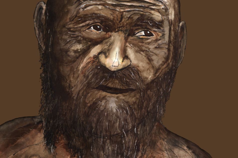 Die künstlerische Darstellung zeigt den Gletschermann "Ötzi". Eine Genomanalyse verrät, wie der Gletschermann Ötzi zu Lebzeiten aussah.