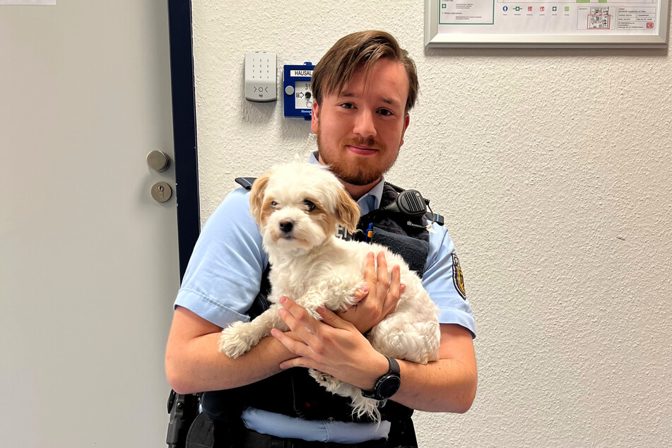 Der Hund wurde auf dem Revier der Bundespolizei mit offenen Armen empfangen.