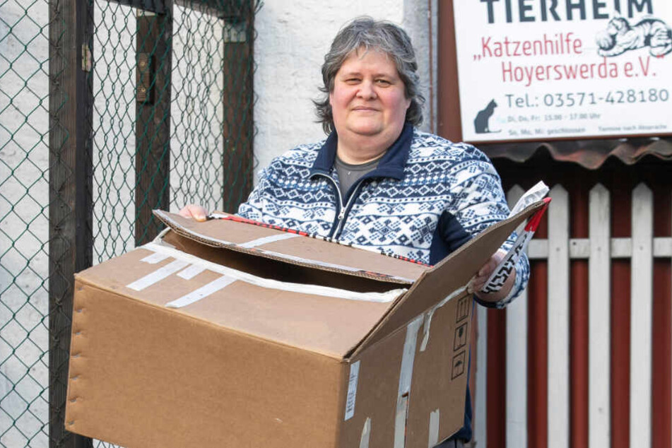 Antje Hartig (49) zeigt den Karton, in dem die Katzen weggeworfen wurden.