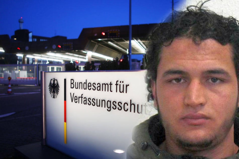 Ein Mitarbeiter des Verfassungsschutz hat den Aussagen seiner Kollegin über den Fall Amri widersprochen.