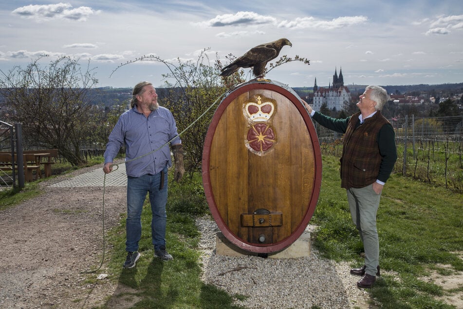 Auf dem Weingut von Prof. Dr. Georg Prinz zur Lippe (re.) haben Schaaf und Vögel eine neue Heimat gefunden.