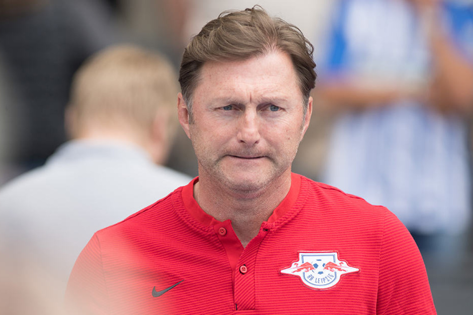 Das Amt des Cheftrainer ist seit der Entlassung von Ralph Hasenhüttl verwaist.