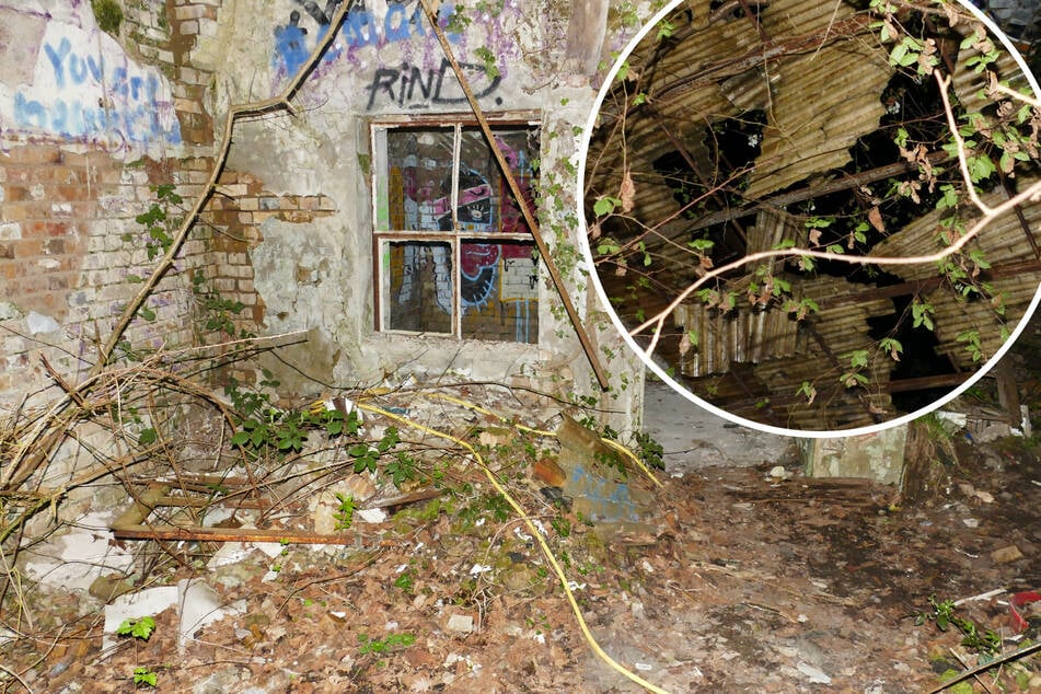 Schwerer Unfall in Ruine: Teenager will gesperrten Lost Place erkunden und stürzt durchs Dach