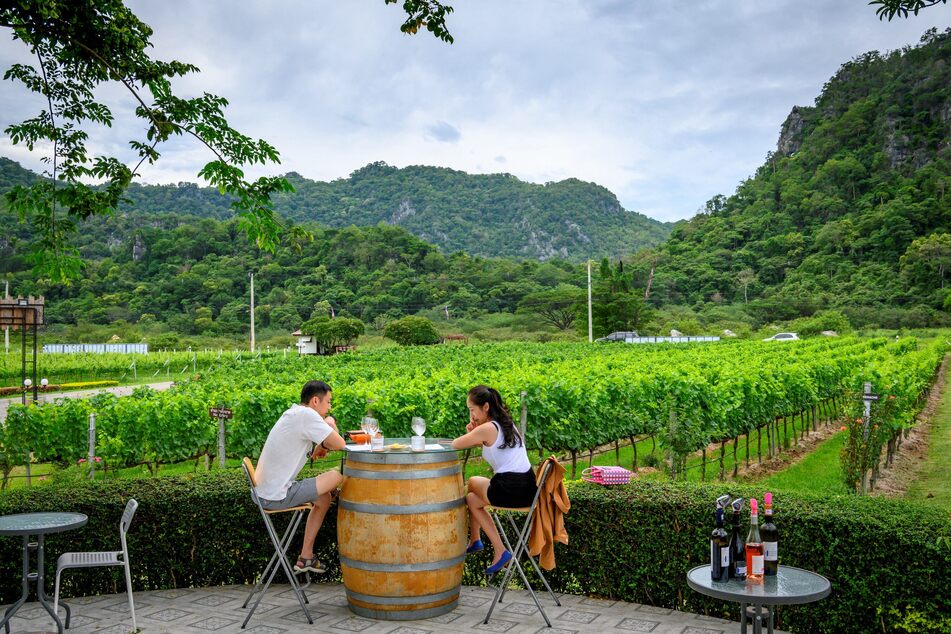 Wine and dine your date with a wine tasting at any vineyard.