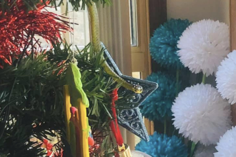 Rachael Leah Jackson (42) discovered a snake on her Christmas tree.