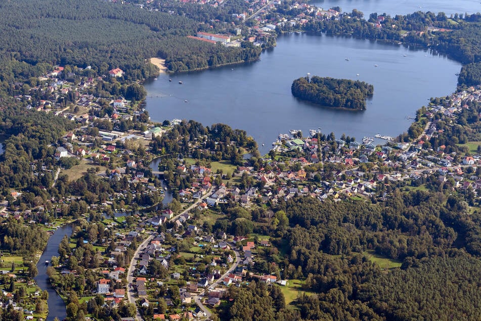 Polizeieinsatz am Tesla-Camp: Erste Bäume werden gefällt