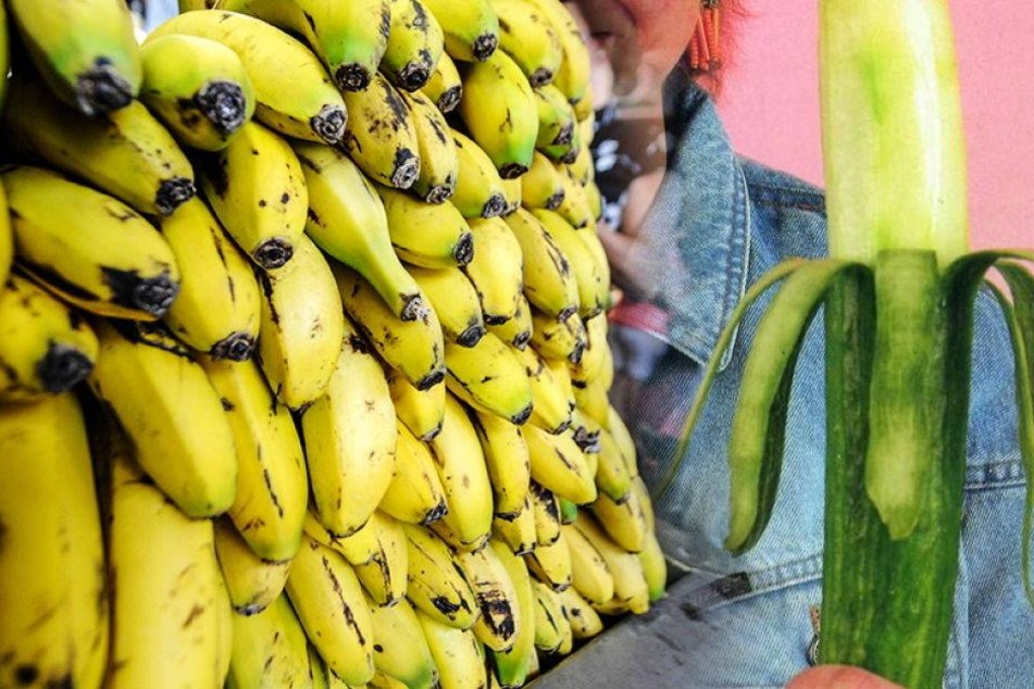 Bananen Sterben Gibt Es Bald Keine Mehr 24