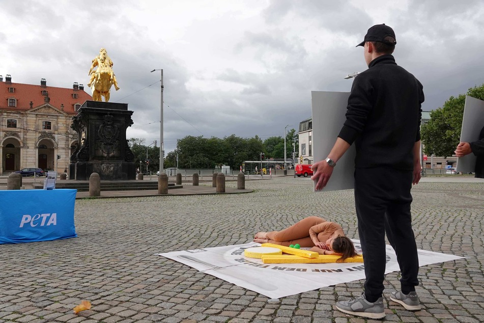 Dresden: PETA-Protest am Goldenen Reiter: "Klima-Teller" mit "menschlichem Fleisch" sorgt für Aufsehen