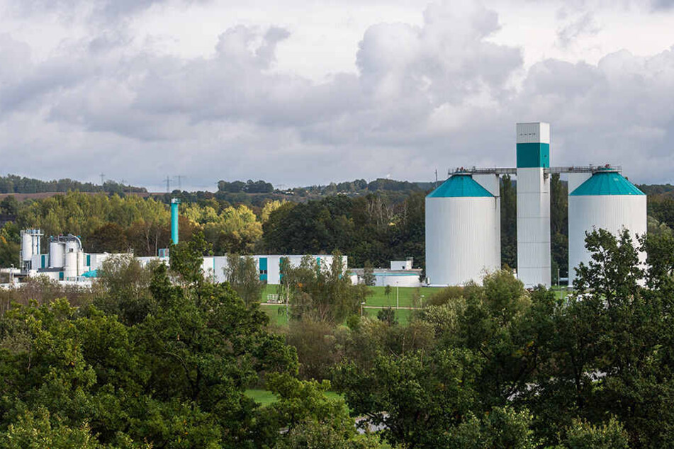 Auch im Klärwerk Heinersdorf muss in den nächsten Jahren wegen strengerer Vorschriften viel investiert werden.