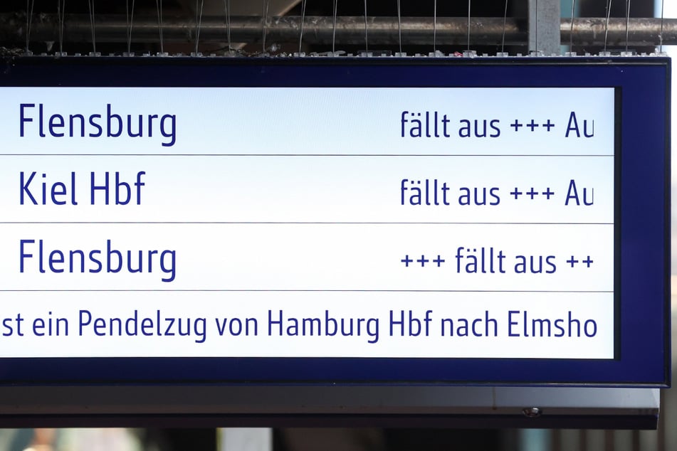 Unzählige Züge am Hamburger Hauptbahnhof fallen aus.