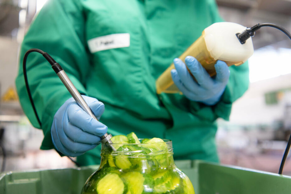 Damit Gewürzgurken in einwandfreier Qualität beim Konsumenten landen, prüfen Fachkräfte für Lebensmitteltechnik, ob die Temperatur beim Aufguss stimmt.