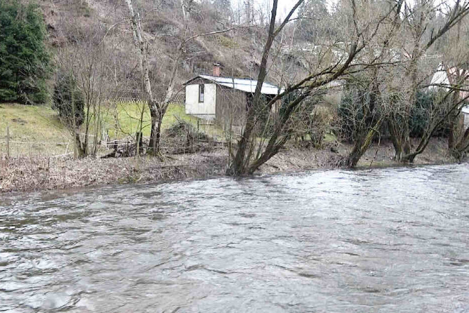 Regen und Tauwetter ließen den Pegel der Bode steigen.
