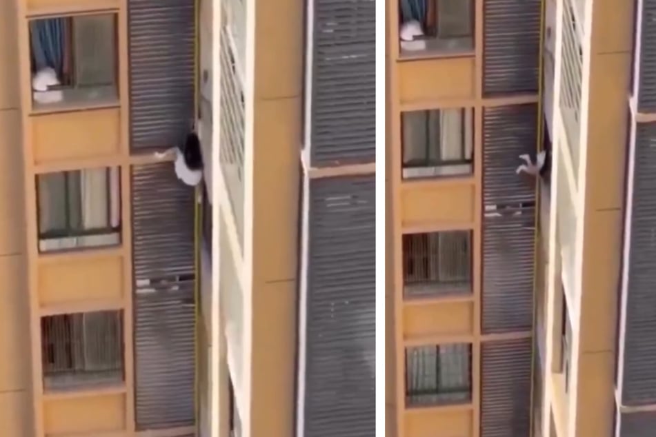 Grund für die lebensmüde Aktion soll die Flucht vor der Ehefrau ihres Liebhabers gewesen sein.