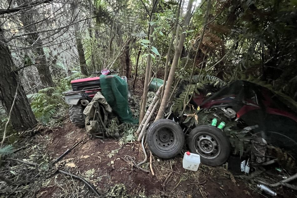 De foto’s zijn gemaakt in de dichte bossen van het district Waitomo.