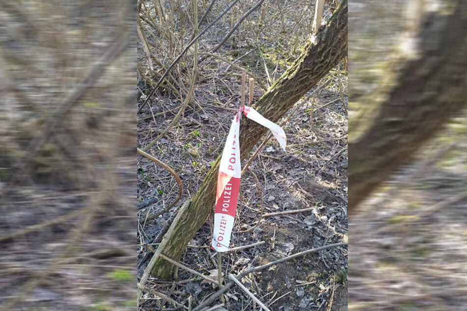 An dieser Stelle im Dickicht fand der Waidmann die Überreste des Vermissten.