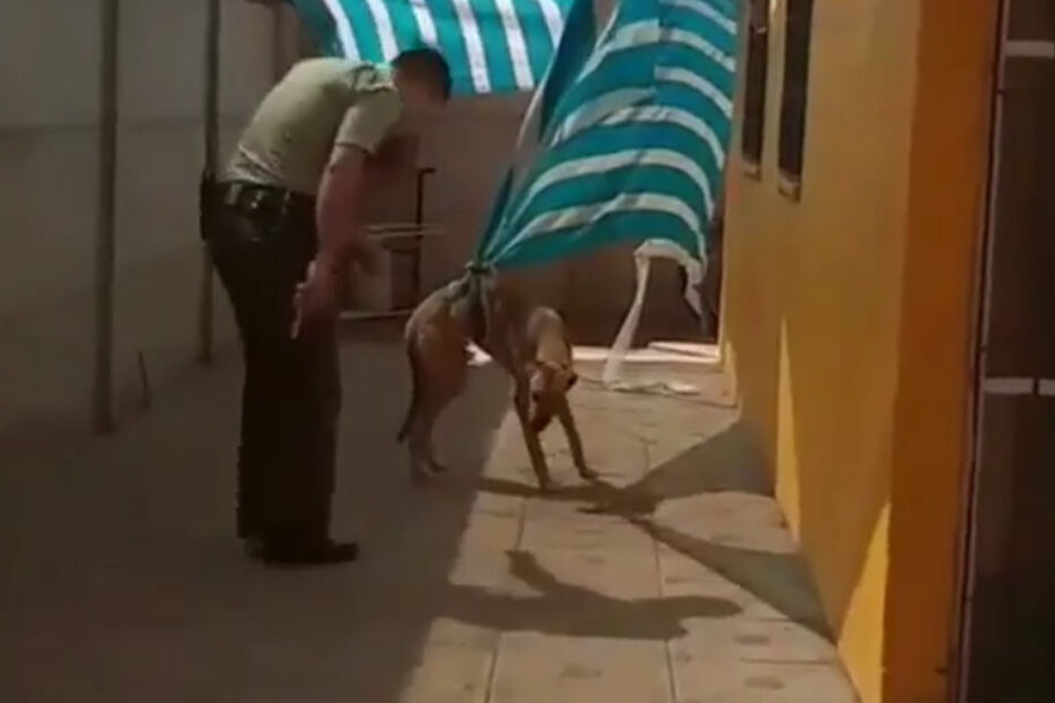Der Polizist rettet den Hund aus seiner lebensgefährlichen Situation.