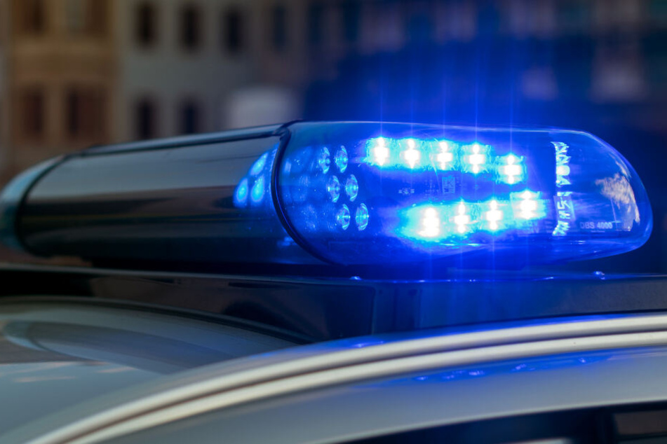 Die Polizei ermittelt nun wegen fahrlässiger Körperverletzung gegen den Hundebesitzer. (Symbolbild)