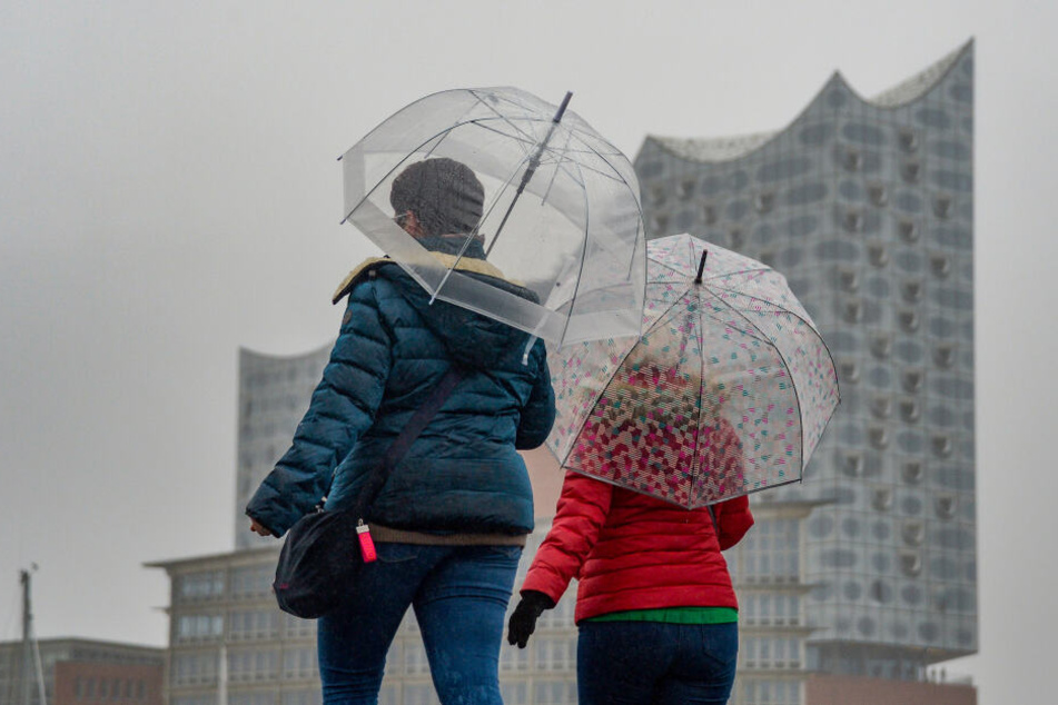 Wer der "Elphi" am Mittwoch und Donnerstag einen Besuch abstatten möchte, sollte sich zumindest auf dem Weg dahin warm anziehen.