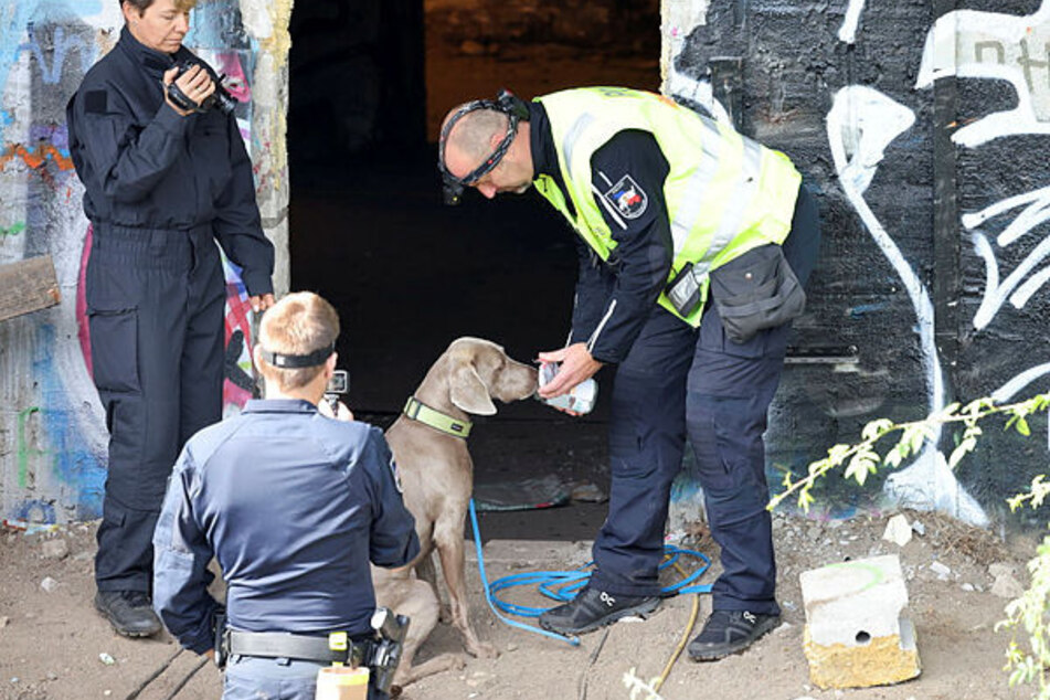 Polizeibeamte lassen den Mantrailer an der Geruchsprobe schnüffeln, anschließend folgte der Hund am Tatort einer Spur.