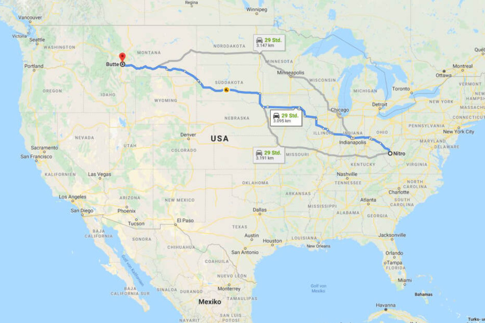 Über 3000 Kilometer von Ost nach West: die Reise des Hundes.