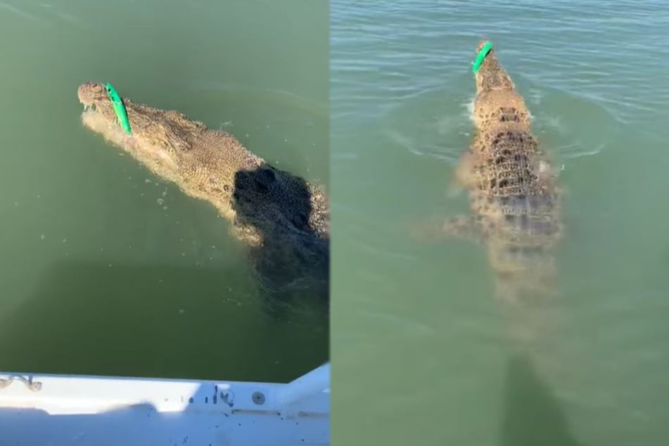 Nicht ganz der erhoffte Fang: Trent de With musste mit einem Krokodil um seinen Köder kämpfen.