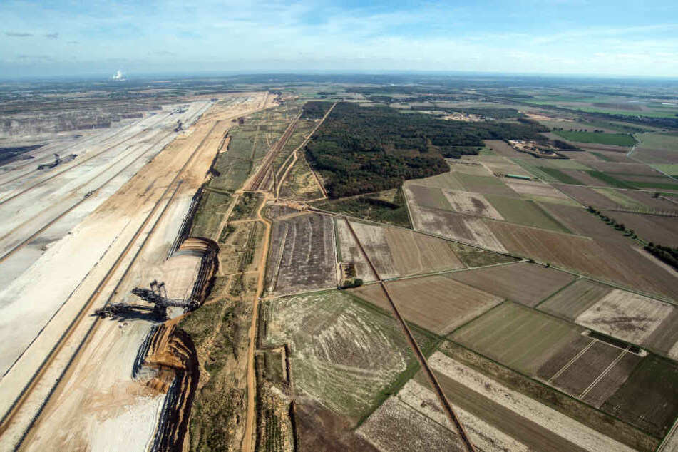 Überblick über den Braunkohletagebau am verbliebenen Restwald des Hambacher Forstes.