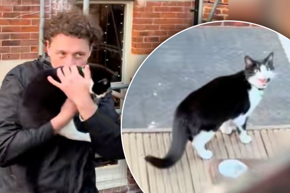 Paar sitzt in Kneipe: Als Katze um die Ecke kommt, staunen die beiden nicht schlecht