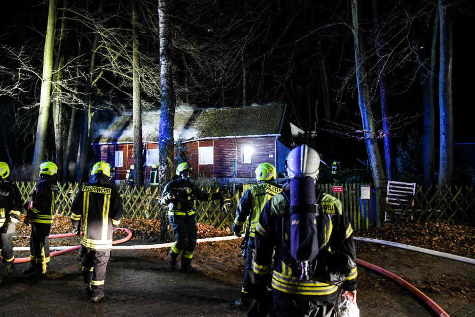 Feuerwehrkräfte befreiten noch zwei Hunde und zwei Papageien aus dem verrauchten Gebäude.