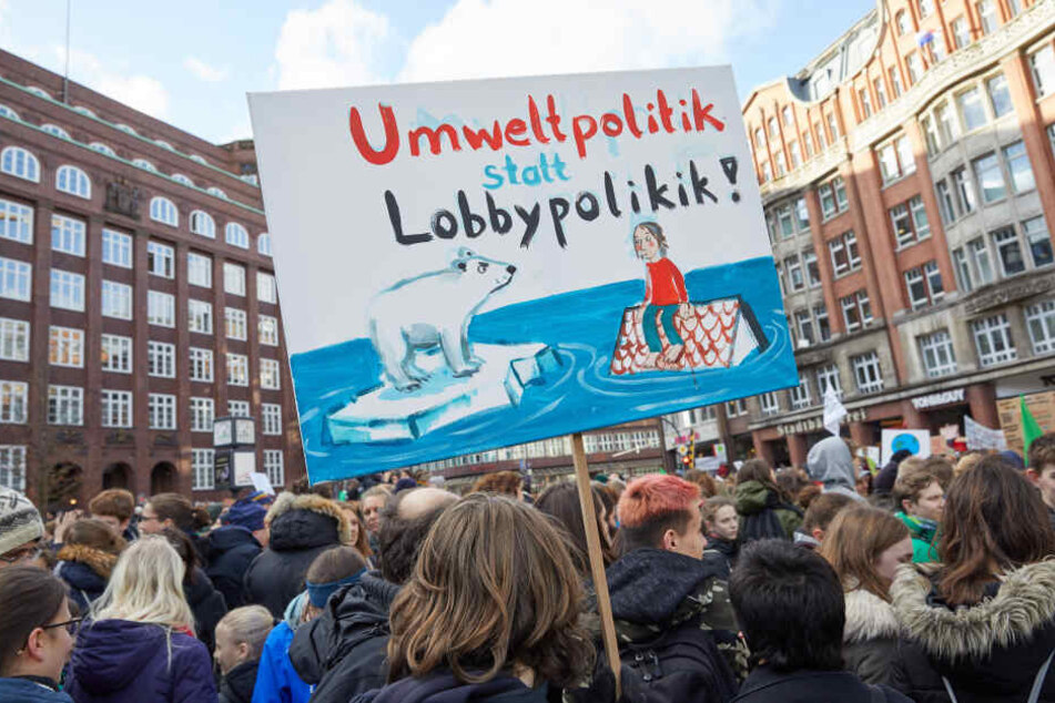 Klimaaktivisten stehen während einer "Fridays for Future"-Klimademonstration auf dem Hamburger Gänsemarkt.